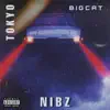 NiBZ & Tokyo - Big Cat - Single